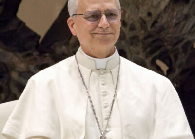 A Professional Clergy