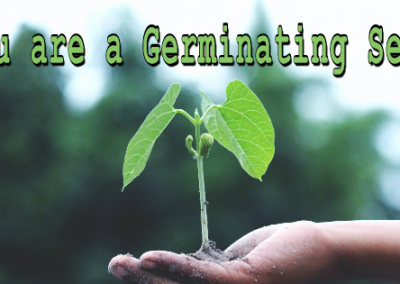 You Are a Germinating Seed