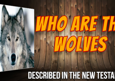 Who Are the Wolves?