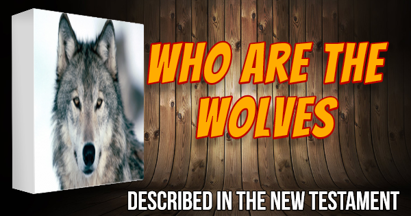 nt-wolves