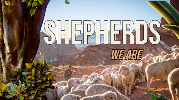 Shepherds We Are