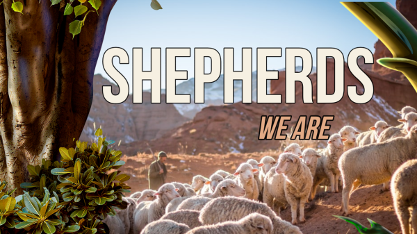 shepherds-we-are