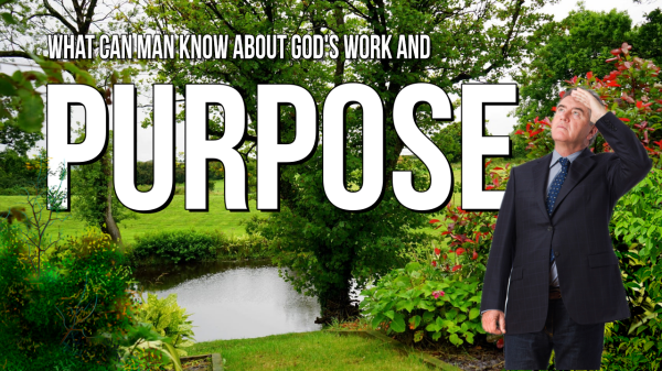 What is God’s Purpose and Work?