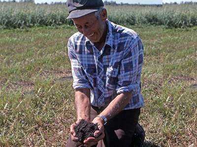 The Ecological Principles of the Land